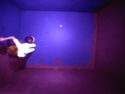 /user_files/images/title/baldessari_insidejobs_purple_xl.jpg